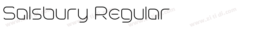 Salsbury Regular字体转换 Salsbury Regular字体转换